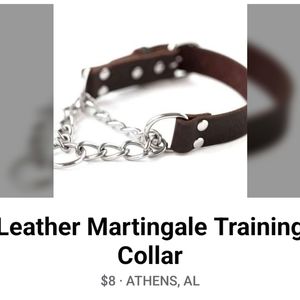 Leather Martingale Training Collar
